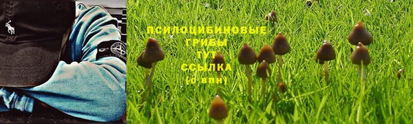 каннабис Зерноград